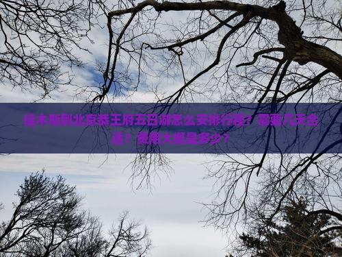 佳木斯到北京恭王府五日游怎么安排行程？需要几天合适？费用大概是多少？