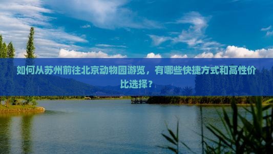 如何从苏州前往北京动物园游览，有哪些快捷方式和高性价比选择？