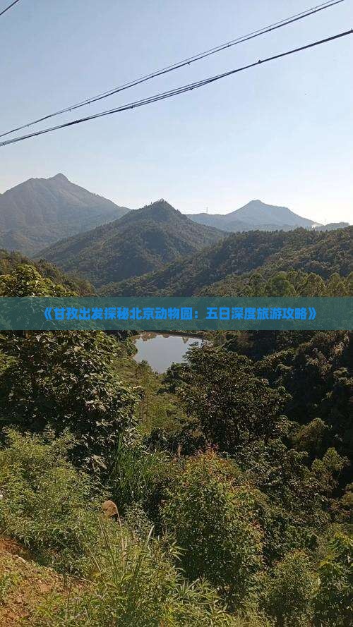 《甘孜出发探秘北京动物园：五日深度旅游攻略》