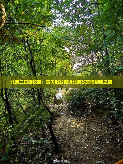 北京二日游攻略：黄冈出发探访北京故宫博物院之旅