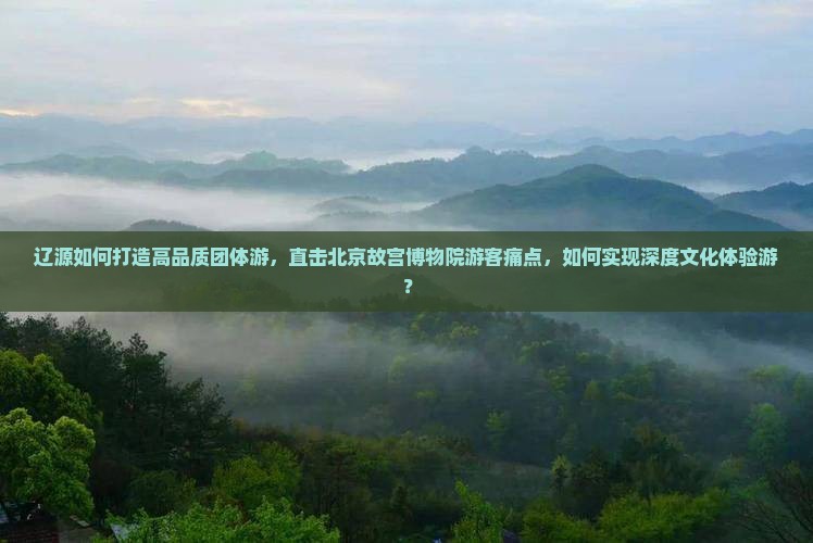辽源如何打造高品质团体游，直击北京故宫博物院游客痛点，如何实现深度文化体验游？
