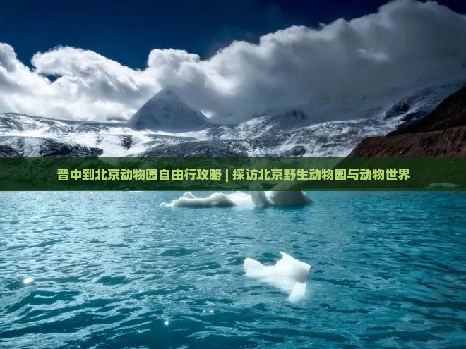 晋中到北京动物园自由行攻略 | 探访北京野生动物园与动物世界
