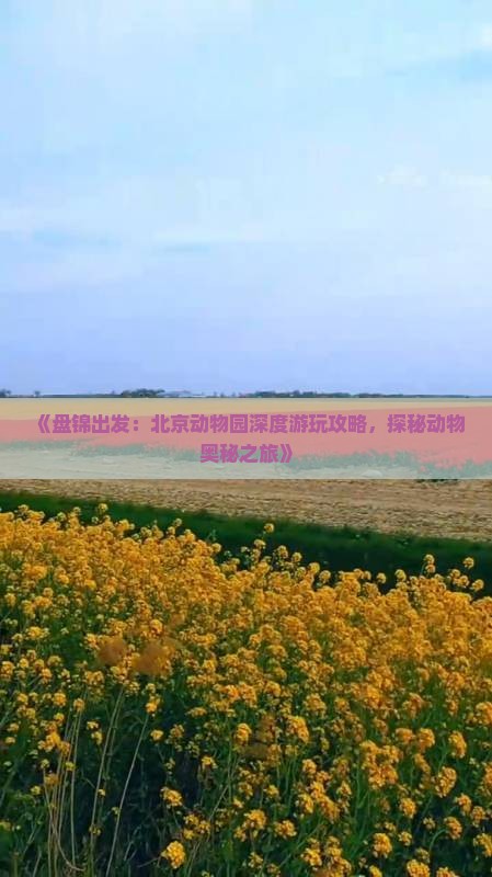 《盘锦出发：北京动物园深度游玩攻略，探秘动物奥秘之旅》