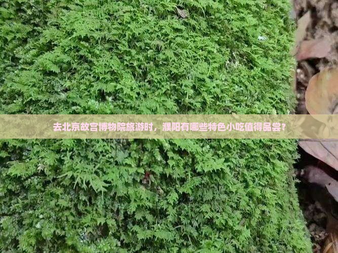去北京故宫博物院旅游时，濮阳有哪些特色小吃值得品尝？