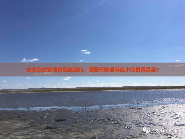 去北京故宫博物院旅游时，濮阳有哪些特色小吃值得品尝？