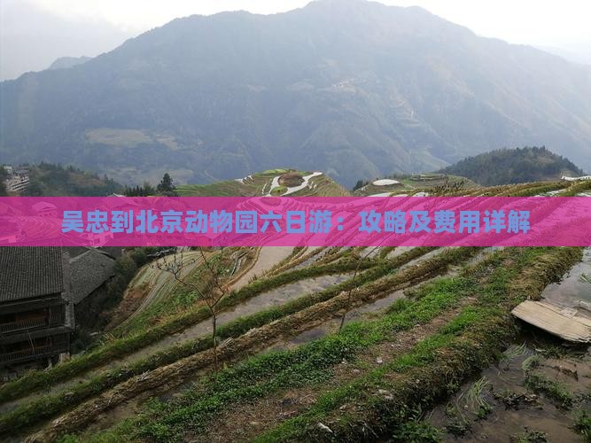 吴忠到北京动物园六日游：攻略及费用详解