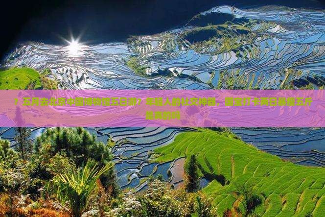 ？五月去北京中国博物馆五日游？年轻人的社交神器，国宝打卡两日暴瘦五斤是真的吗
