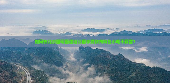 如何在北京圆明园遗址公园享受钦州特色小吃不踩雷？