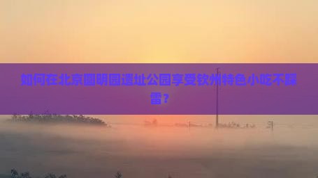 如何在北京圆明园遗址公园享受钦州特色小吃不踩雷？