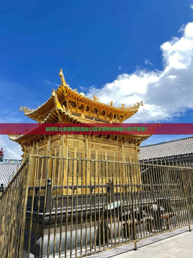 如何在北京圆明园遗址公园享受钦州特色小吃不踩雷？