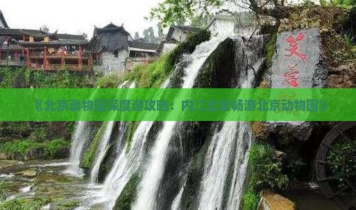 《北京动物园深度游攻略：内江出发畅游北京动物园》