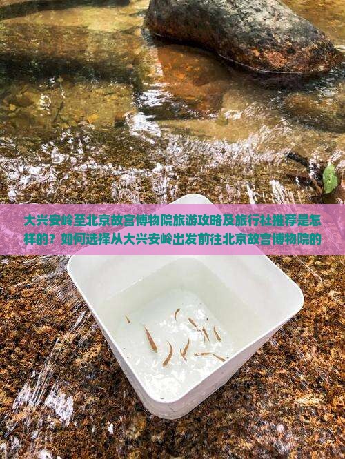 大兴安岭至北京故宫博物院旅游攻略及旅行社推荐是怎样的？如何选择从大兴安岭出发前往北京故宫博物院的旅行社？