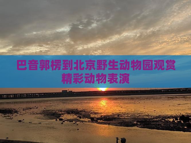 巴音郭楞到北京野生动物园观赏精彩动物表演