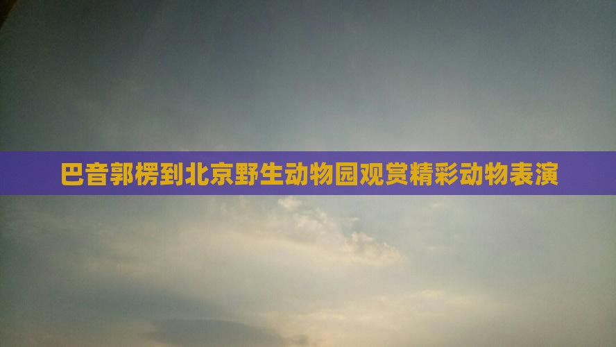巴音郭楞到北京野生动物园观赏精彩动物表演
