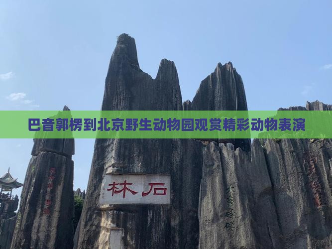 巴音郭楞到北京野生动物园观赏精彩动物表演