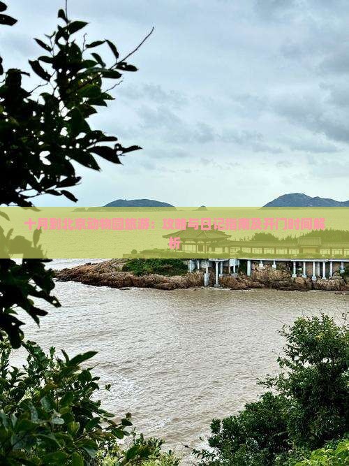 十月到北京动物园旅游：攻略与日记指南及开门时间解析