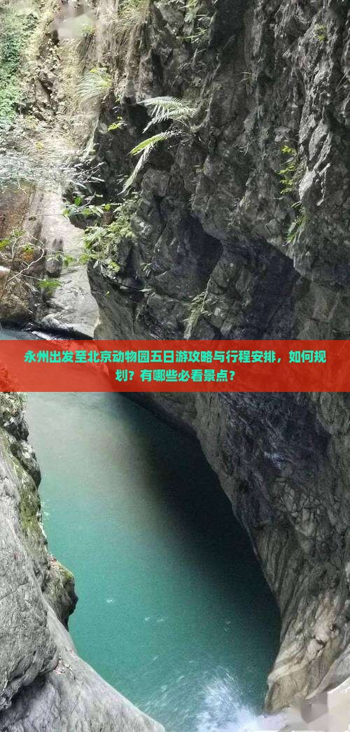 永州出发至北京动物园五日游攻略与行程安排，如何规划？有哪些必看景点？