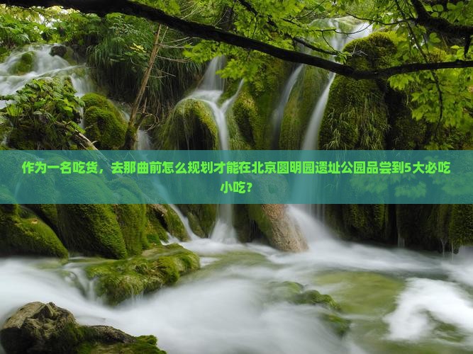 作为一名吃货，去那曲前怎么规划才能在北京圆明园遗址公园品尝到5大必吃小吃？