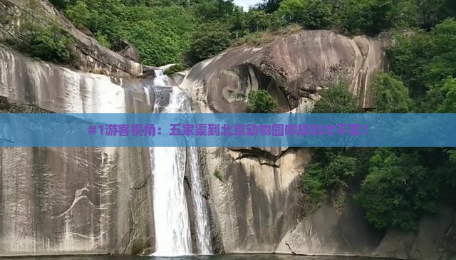 #1游客视角：五家渠到北京动物园咋规划才不累？