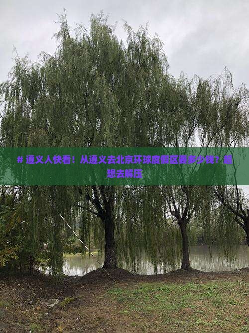 # 遵义人快看！从遵义去北京环球度假区要多少钱？超想去解压