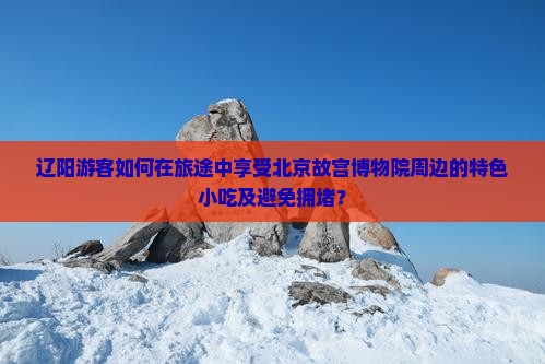 辽阳游客如何在旅途中享受北京故宫博物院周边的特色小吃及避免拥堵？