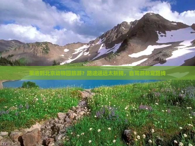 果洛到北京动物园旅游？路途遥远太折腾，自驾游新宠路线