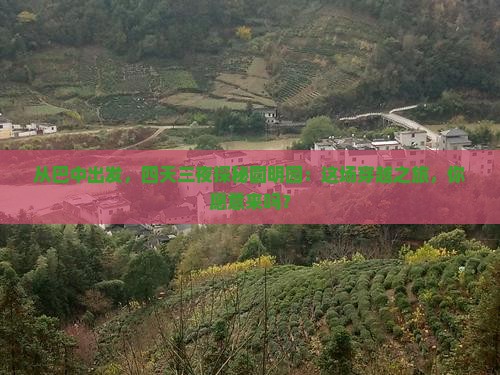 从巴中出发，四天三夜探秘圆明园：这场穿越之旅，你愿意来吗？