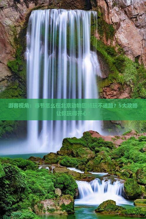 游客视角：春节怎么在北京动物园畅玩不迷路？5大攻略让你玩得开心！