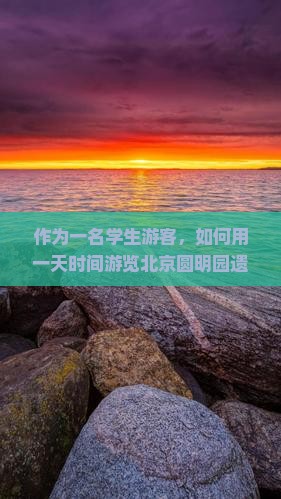 作为一名学生游客，如何用一天时间游览北京圆明园遗址公园：5大必看景点与情感体验之旅