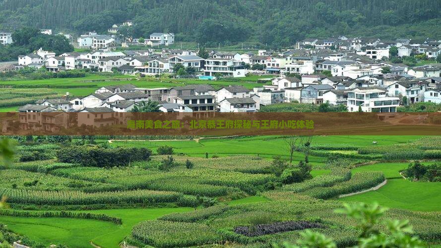 海南美食之旅：北京恭王府探秘与王府小吃体验