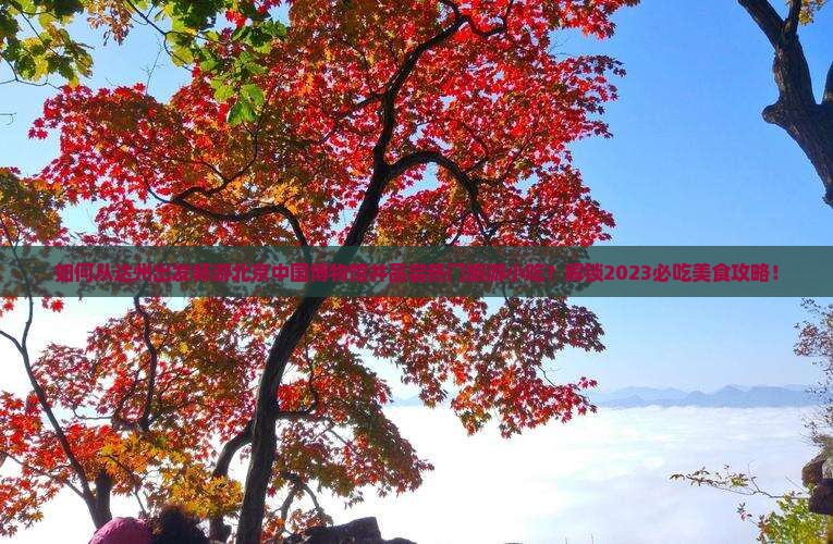 如何从达州出发畅游北京中国博物馆并品尝热门旅游小吃？解锁2023必吃美食攻略！