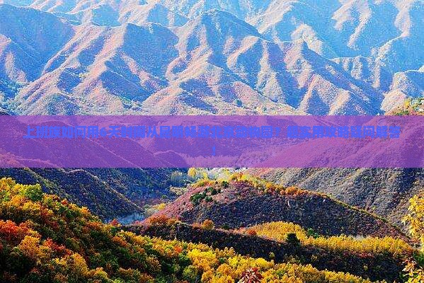 上班族如何用6天时间从昆明畅游北京动物园？超实用攻略疑问解答！