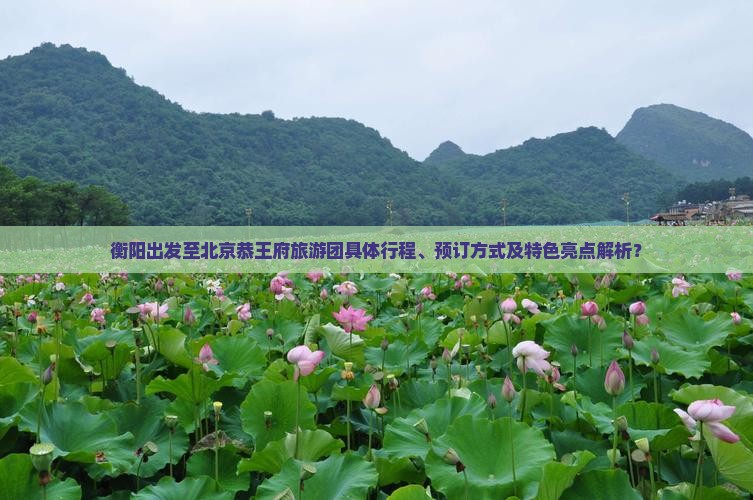 衡阳出发至北京恭王府旅游团具体行程、预订方式及特色亮点解析？