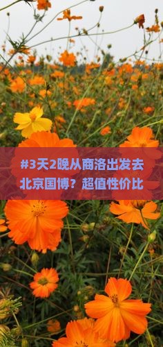 商洛到北京中国国家博物馆六日游
