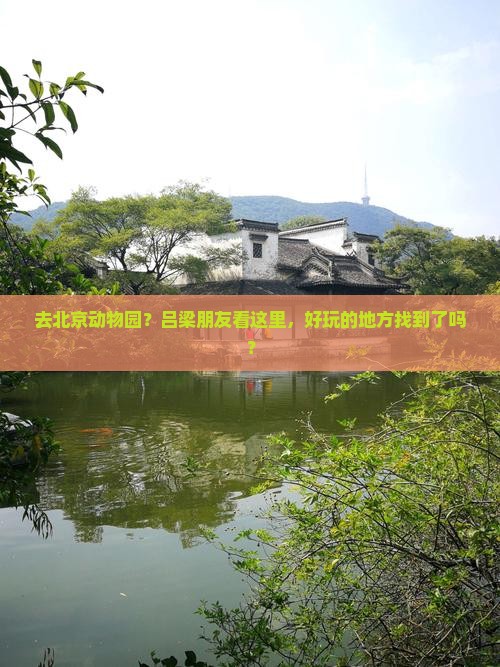 吕梁去北京动物园哪里玩