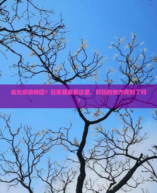吕梁去北京动物园哪里玩