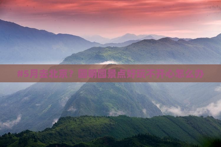 五月去北京圆明园遗址公园景点