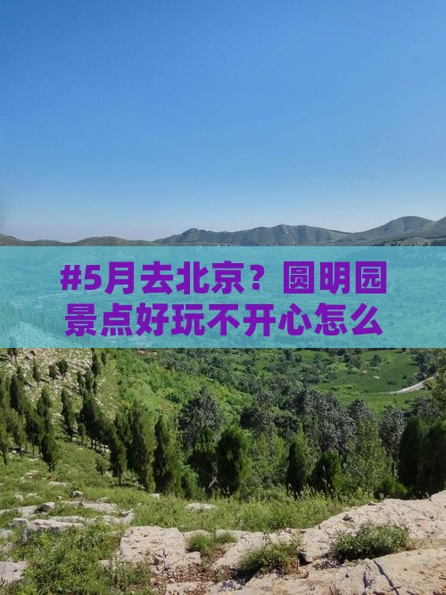 五月去北京圆明园遗址公园景点
