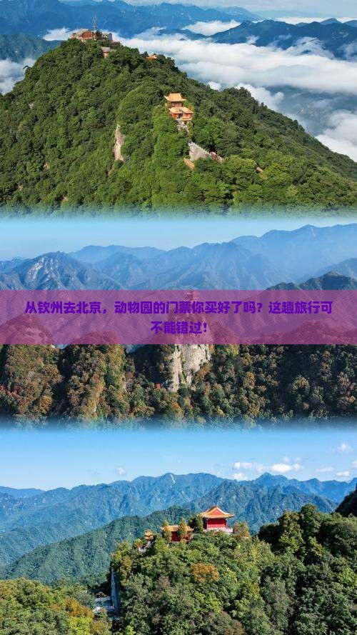 钦州到北京动物园门票