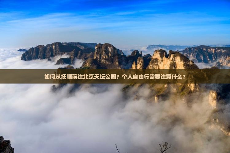 抚顺去北京天坛公园个人游
