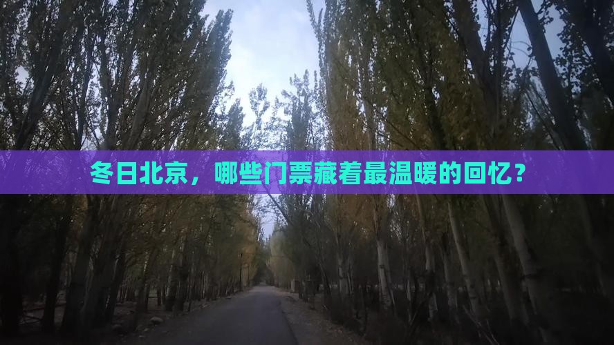 冬天到北京门票