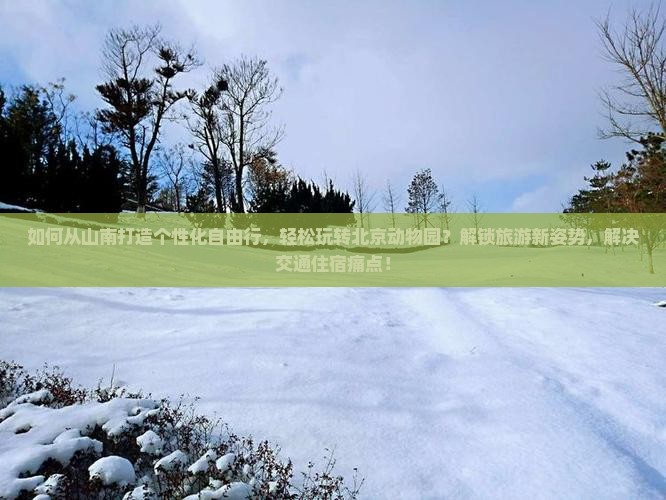 山南到北京动物园自由团