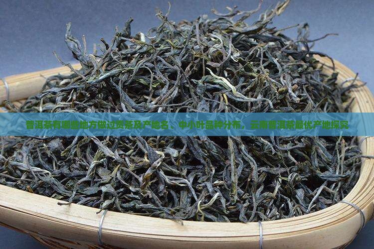普洱茶有哪些地方做过贡茶及产地名、中小叶品种分布，云南普洱茶最优产地探究