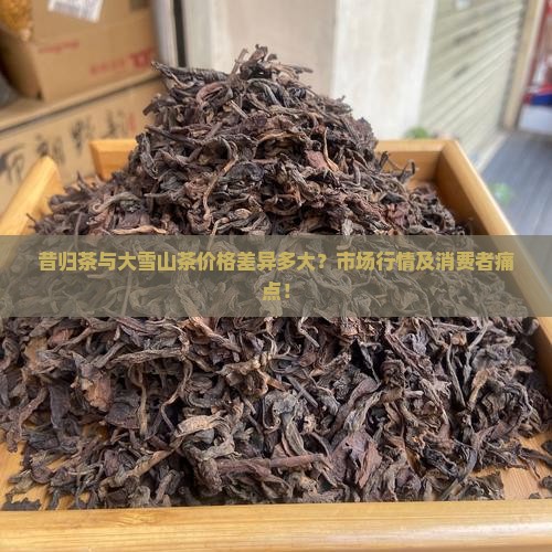昔归茶与大雪山茶价格差异多大？市场行情及消费者痛点！