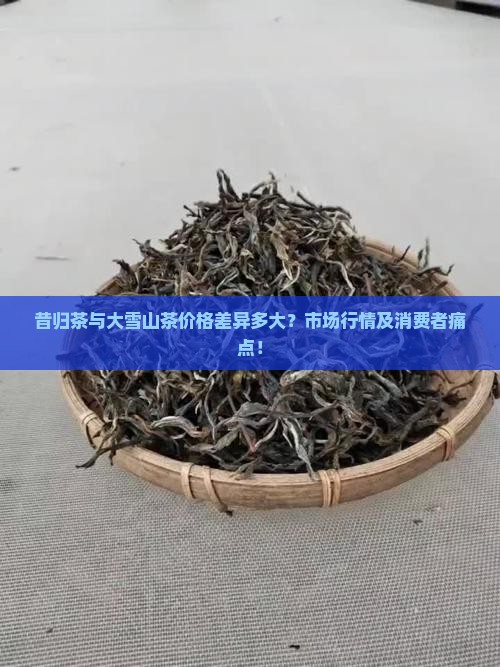 昔归茶与大雪山茶价格差异多大？市场行情及消费者痛点！