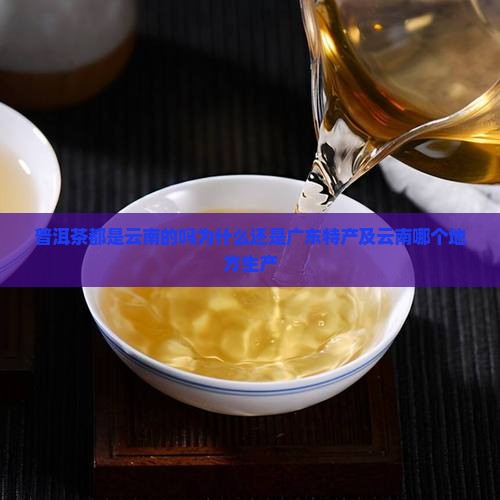 普洱茶都是云南的吗为什么还是广东特产及云南哪个地方生产