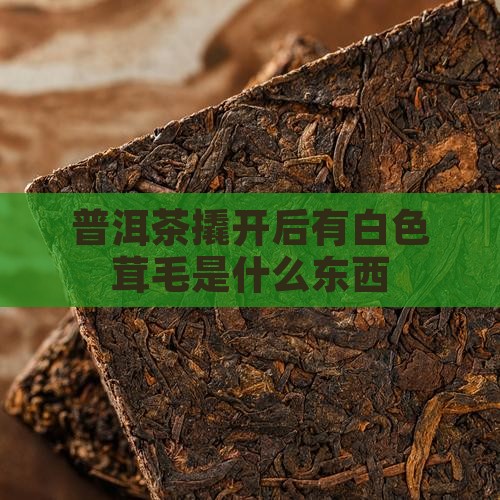 普洱茶撬开后有白色茸毛是什么东西