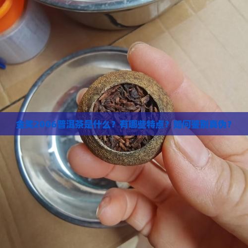 金奖2006普洱茶是什么？有哪些特点？如何鉴别真伪？