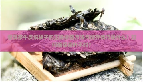 普洱茶牛皮纸袋子的正确折叠方法与储存技巧是什么？如何确保茶叶不时？