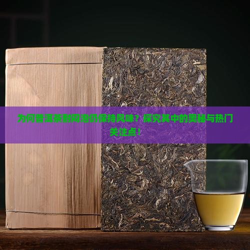 为何普洱茶耐闷泡仍保持风味？探究其中的奥秘与热门关注点！